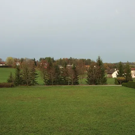 Apartment Maria Aichholzer *